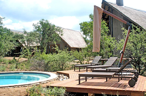 Swimming Pool Black Rhino Game Lodge Pilanesberg Game Park Black Rhino Private Game Reserve