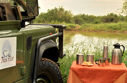 Morning Coffee Game Drives Black Rhino Game Lodge Pilanesberg Game Park Black Rhino Private Game Reserve